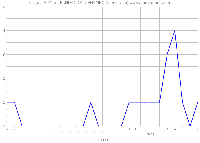 Visitas 2024 de FUNDACION CENAMEC (Venezuela) 