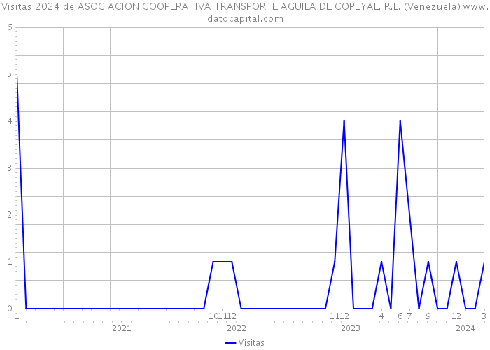 Visitas 2024 de ASOCIACION COOPERATIVA TRANSPORTE AGUILA DE COPEYAL, R.L. (Venezuela) 