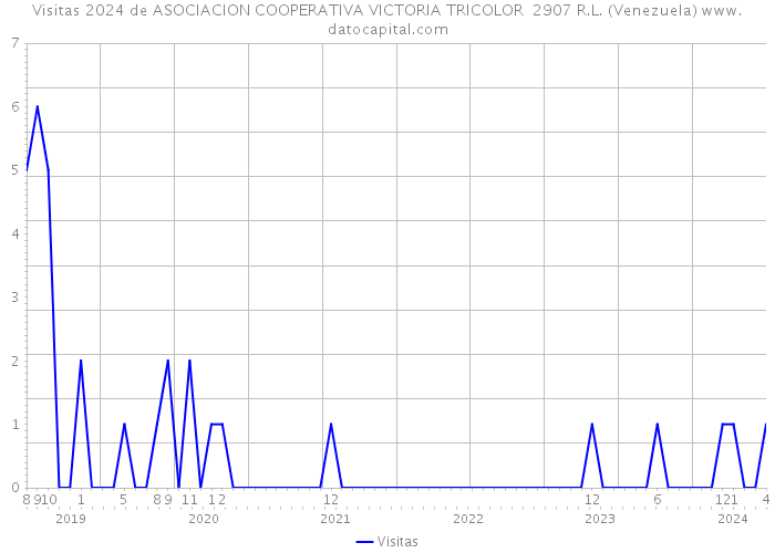 Visitas 2024 de ASOCIACION COOPERATIVA VICTORIA TRICOLOR 2907 R.L. (Venezuela) 